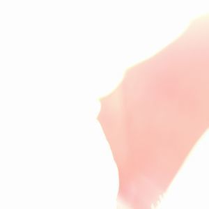 Meet your Posher, Silviarena